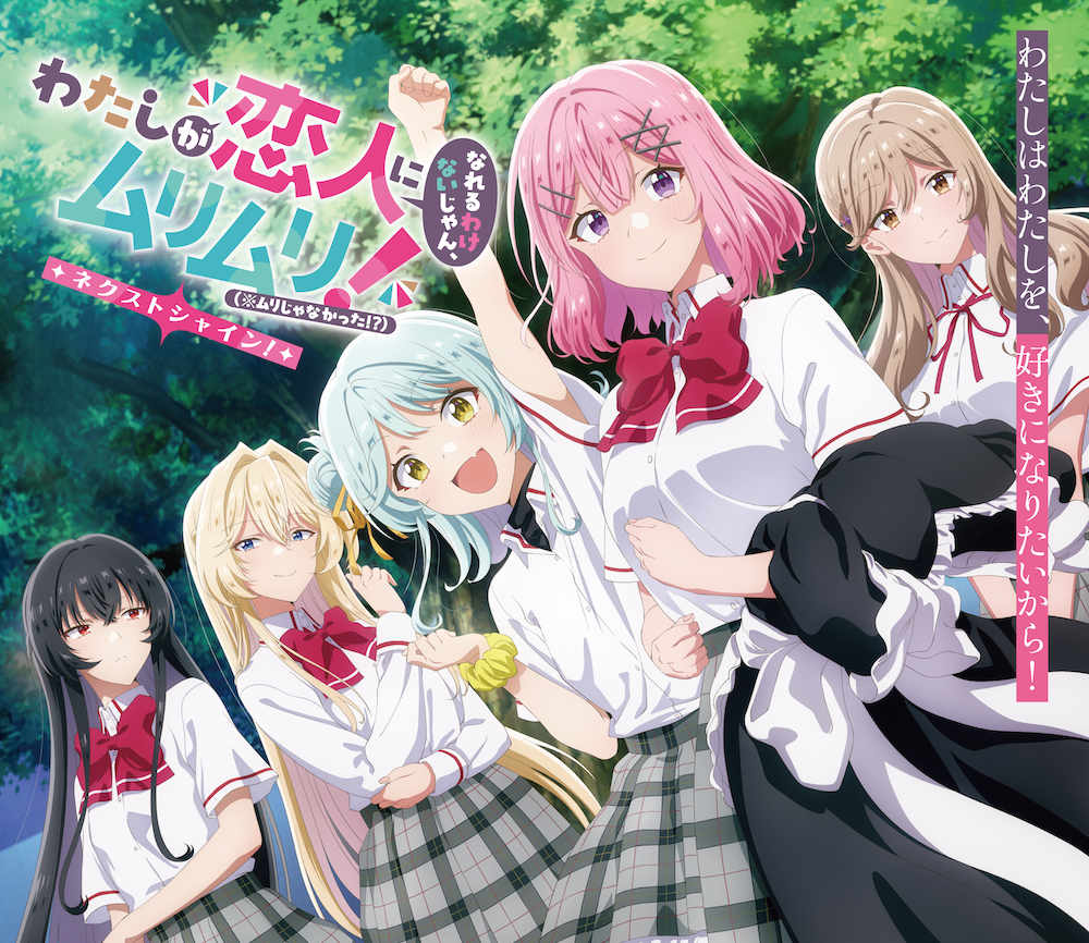 続編・全5話の制作およびTV放送決定！！11月21日（金）より特別編集版を全国劇場公開！